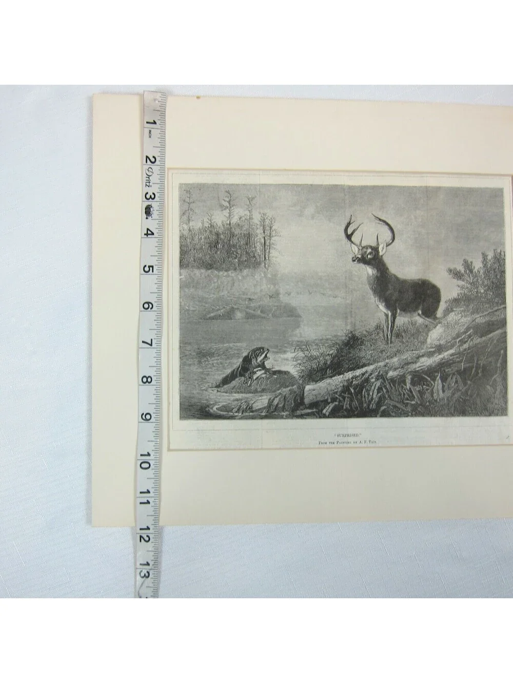 Antique 1800s Lake Deer Stag & Otter Print 